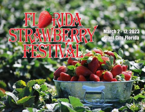 Florida Strawberry Festival 2023